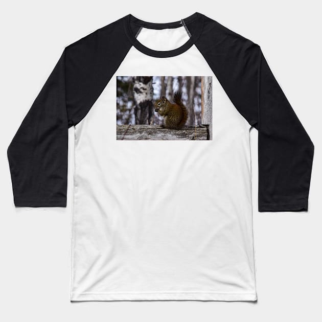 Red Squirrel Snacking. Baseball T-Shirt by CanadianWild418